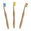 'Bamboo' Toothbrush Case - 3 Pieces