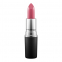 'Satin' Lipstick - Amorous 3 g