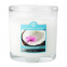 'Colonial Ovals' Scented Candle - Coconut Rain 226 g