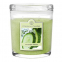 'Cucumber Fresca' Scented Candle - 226 g