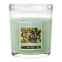 'Bay Berry' Scented Candle - 226 g