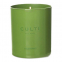 'Culti Colours' Scented Candle - Gelsomino 250 g