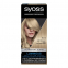 Teinture pour cheveux 'Permanent' - 8.5 Light Ashy Blonde