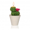 'Cactus With Pot' Candle
