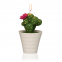 Bougie 'Cactus With Pot'