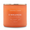 'Pop of color' Scented Candle - Cinnamon Pumpkin 411 g