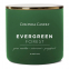 Bougie parfumée 'Pop of Color' - Evergreen Forest 411 g