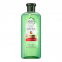 'Botanicals Aloe & Mango' Shampoo - 380 ml