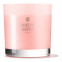 'Rhubarb & Rose' Scented Candle - 180 g