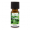 'Peppermint' Fragrance Oil - 10 ml