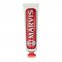 'Cinnamon Mint' Toothpaste - 25 ml