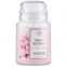 'Peony Blossom' Scented Candle - 623 g