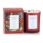 'Christmas Spice' Scented Candle - 225 g