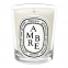 'Ambre' Scented Candle - 190 g