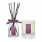 Candle, Diffuser - Raspberry & Plum