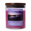 'Pineapple Bliss' Scented Candle - 425 g