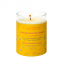 'Candle' Mosquito Repellent - 170 g