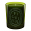 'Figuier' Scented Candle - 300 g