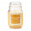 'Sun Soaked Citrus' Scented Candle - 510 g