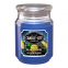 'Salty Blue Citron' Duftende Kerze - 510 g