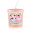 'Cherry Blossom' Duftende Kerze - 49 g