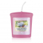 'Sunny Daydream' Scented Candle - 49 g