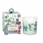 'Eucalyptus & Mint' Scented Candle - 184 g