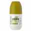 'Olive Oil' Roll-On Deodorant - 50 ml