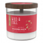 'Wild & Free' Scented Candle - 454 g