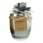 'Camellia French Vanilla' Candle - 500 g