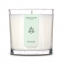 'Aromatic XL' 2 Wicks Candle - Rhubarb 380 g