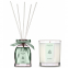 'Aromatic' Candle, Diffuser - Rhubarb 160 g