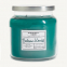 'Balsam Woods' Scented Candle - 389 g