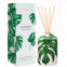 'Coconut Lime Zest' Reed Diffuser - 200 ml