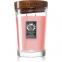 'Succulent Pink Grapefruit Exclusive Large' Scented Candle - 1.4 Kg