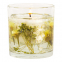 'Cotton & Hydrangea' Kerze aus Gel - 60 g