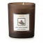 'Arolle' Scented Candle - Pinus Cembra 350 g