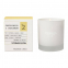 'Sandalwood & Cardamon Apothicaire Moderne' Scented Candle