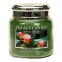'Cactus Flower' Candle - 390 g