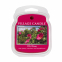 'Wild Rose Simmerblends' Wax Melt - 90 g