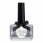 'Paint Pots' Nail Polish - 069 Fit For A Queen 13.5 ml