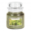 'White Cedar' Scented Candle - 454 g