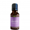 'Organic Lavender' Essential Oil - 30 ml