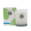 Island Breeze Luxe Candle