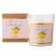 'Mimosa' Candle - 394 g