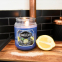 'Salty Blue Citron' Scented Candle - 510 g