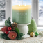 'Mistletoe & Sage' 3 Wicks Candle - 411 g