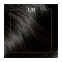Couleur des Cheveux '100% Cobertura De Canas' - 1/0 Infinity Black 4 Pièces