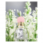 Eau de parfum 'Fleur D'Argent Absolue' - 50 ml
