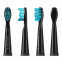 'Flash Travel /Pro Smile' Toothbrush Head Set - 12 Pieces